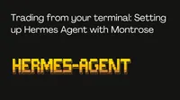 Trading from your terminal: setting up Hermes Agent with Montrose